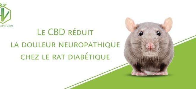 Le cbd réduit la douleur neuropathique chez le rat diabétique