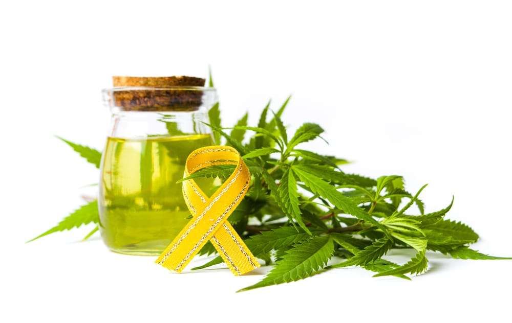 cannabis médical cancer