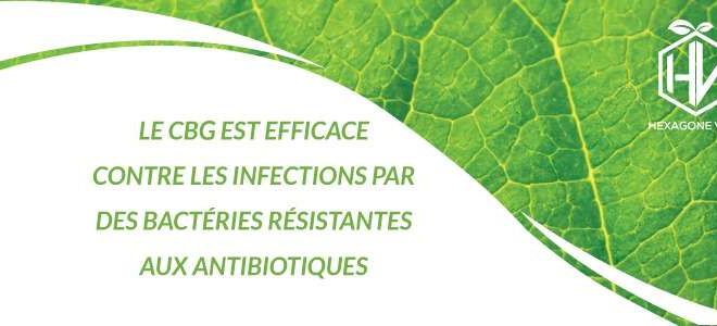 cbd arthrite