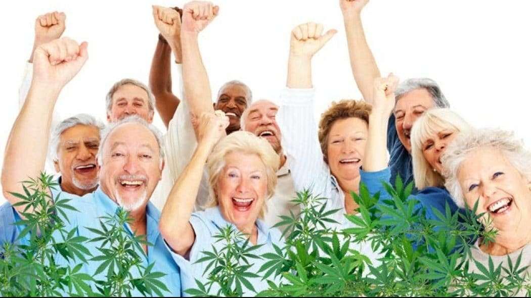 cannabis seniors