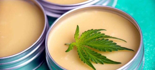 huile chanvre cbd eczema