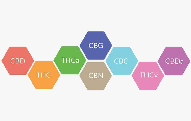 Le CBD : isolé ou en spectre complet ?