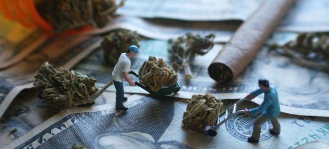 cannabis travail