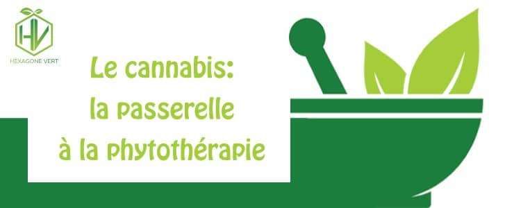 Le cannabis : la passerelle à la phytothérapie