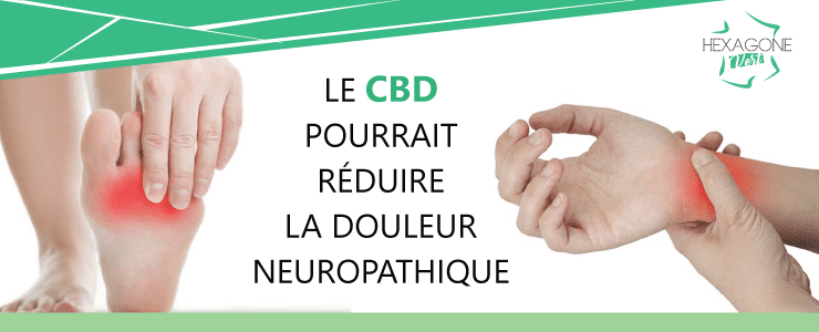Étude : Le CBD pourrait réduire la douleur neuropathique