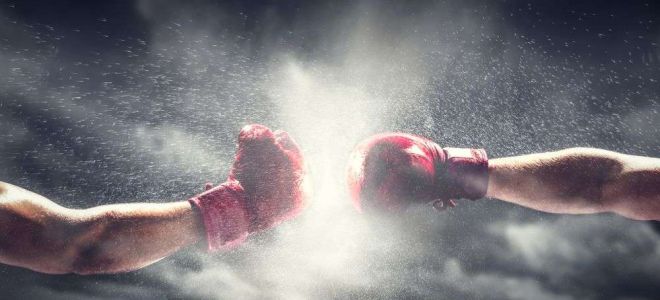 MMA cannabis