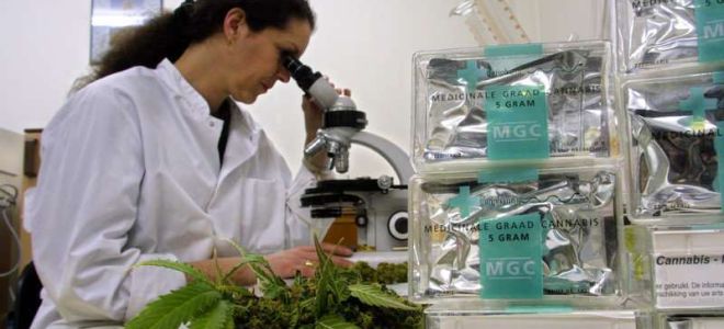 CBD CORONAVIRUS