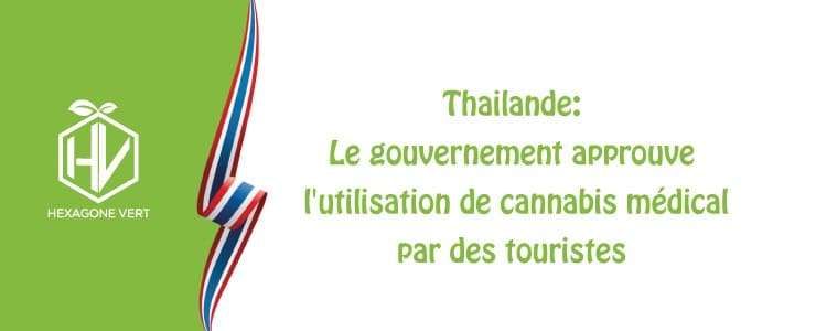 Thaïlande : approbation du cannabis médical pour les touristes