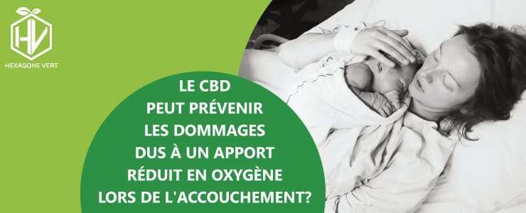Le CBD peut prévenir les dommages dus à un apport réduit en oxygène lors de l'accouchement