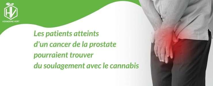 cannabis cancer prostate
