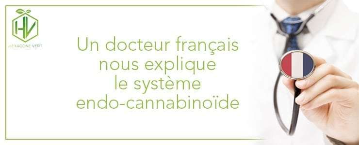 Un docteur français nous explique le système endo-cannabinoïde