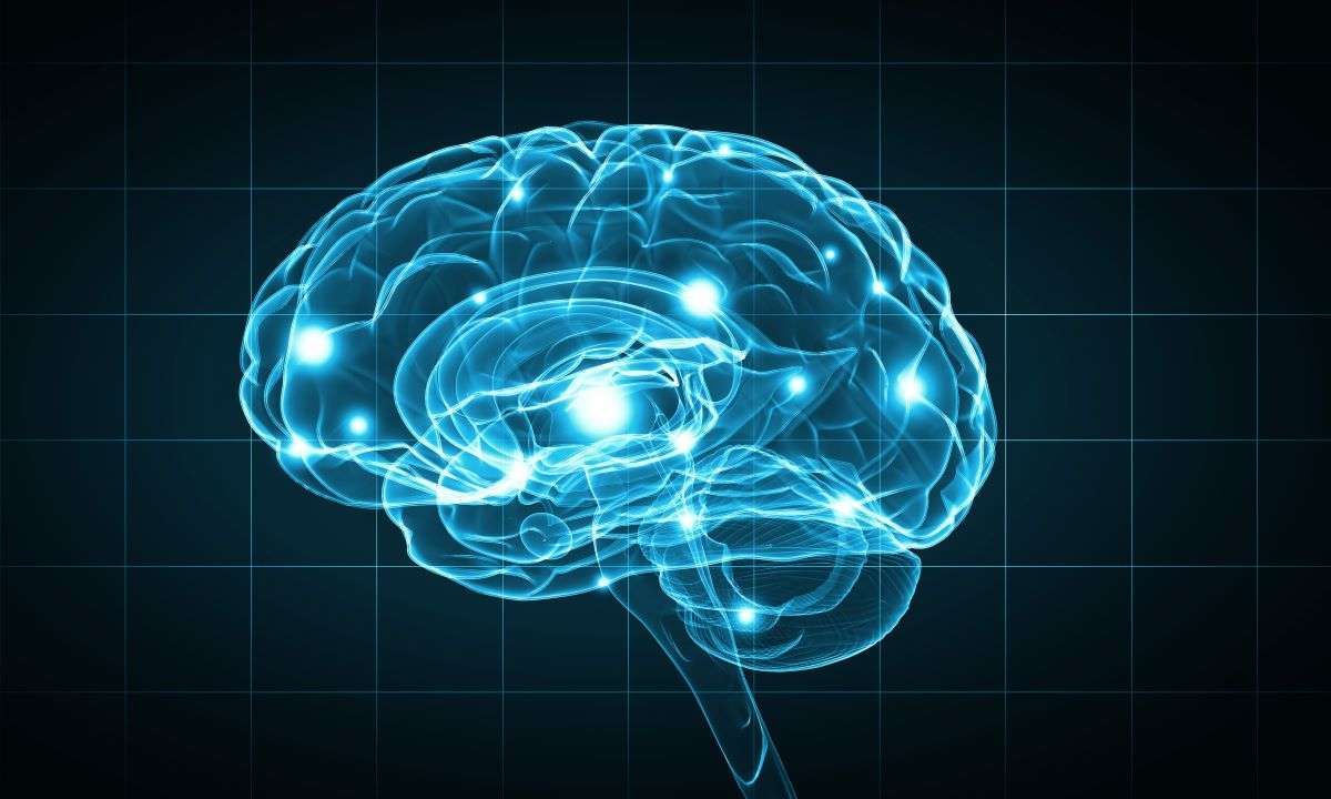 cbd cerveau