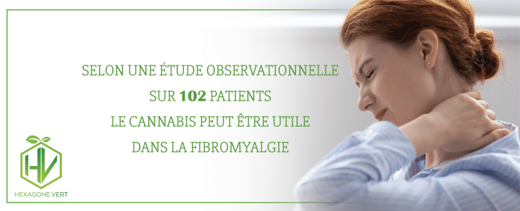 cannabis fibromyalgie