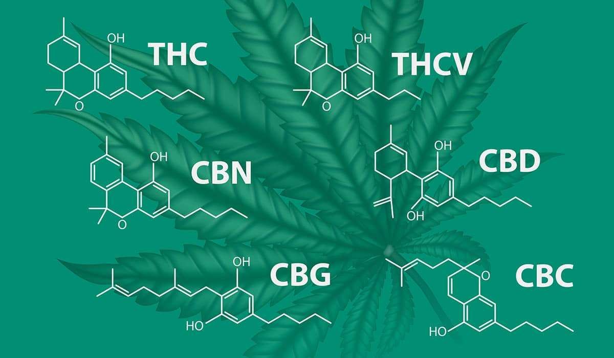 Cbd cbg 2