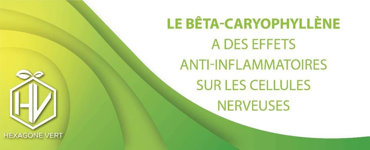 Le bêta-caryophyllène a des effets anti-inflammatoires sur les cellules nerveuses