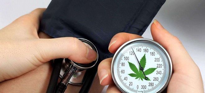 Cannabis can help high blood pressure 1