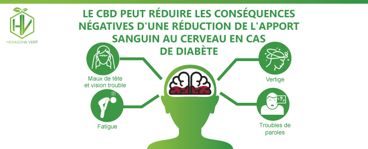 Le CBD peut réduire les conséquences négatives d’une réduction de l’apport sanguin au cerveau en cas de diabète