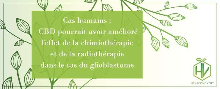 Cas humains : Le CBD pourrait avoir amélioré l'effet de la chimiothérapie et de la radiothérapie dans le cas d'une tumeur du cerveau