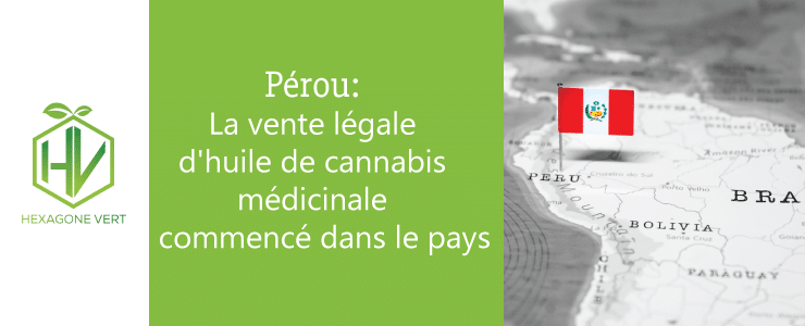 huile de cannabis