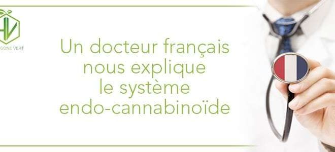 Un docteur français nous explique le système endo-cannabinoïde