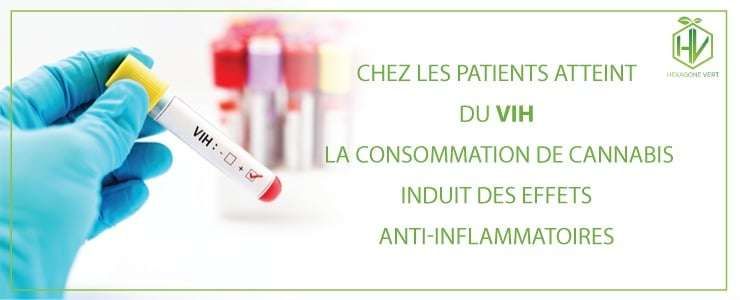 VIH : la consommation de cannabis induit des effets anti-inflammatoires