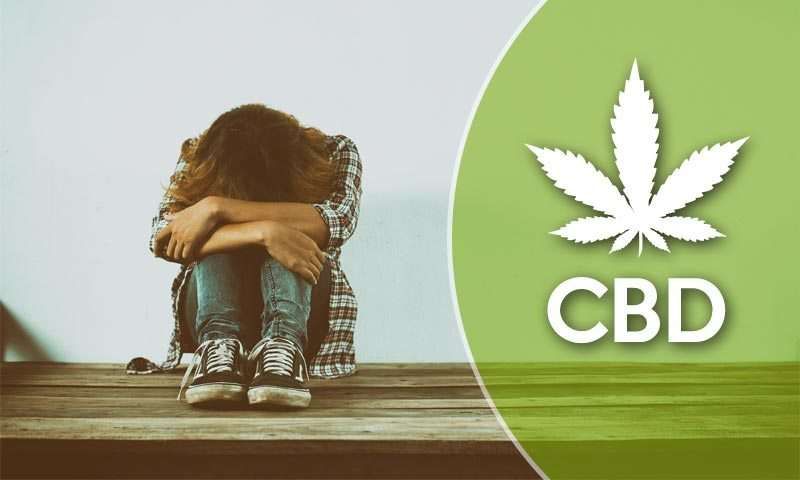 Étude : Le CBD induit des effets antidépresseurs « rapides et soutenus"