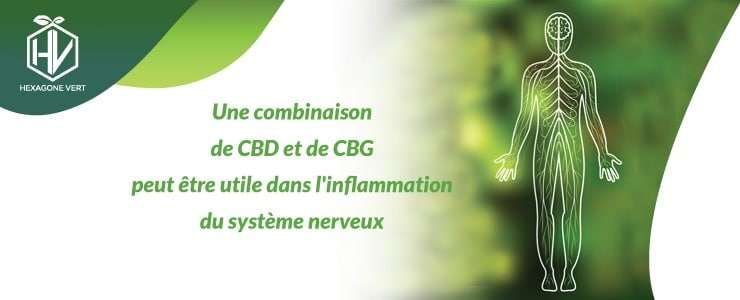 CBD CBG inflammation