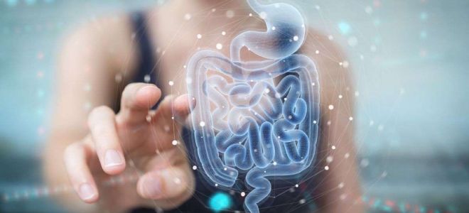 cbd maladie crohn