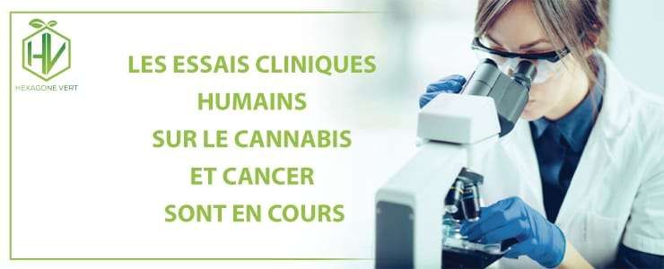 Les essais cliniques humains sur le cannabis et le cancer sont en cours