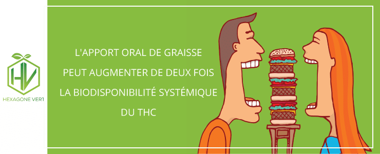biodisponiblitée THC