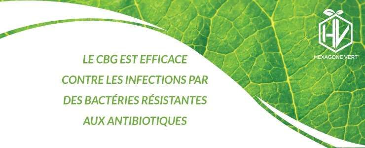 cbd arthrite