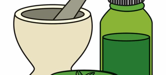 cannabinoïdes ulcères