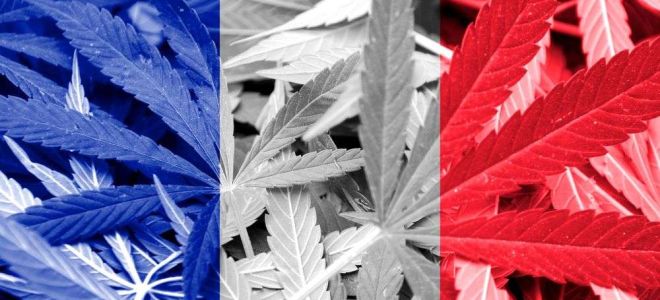 fleur cbd législation