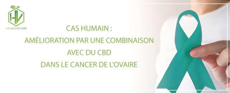 Amélioration par une combinaison avec du CBD dans le cancer de l'ovaire