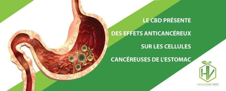 cbd anticancéreux