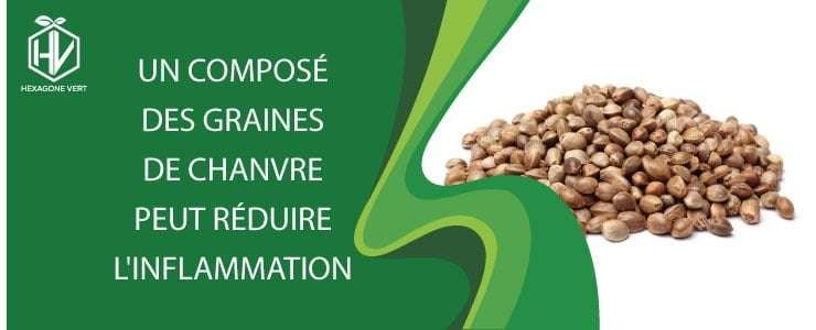 Un composé des graines de chanvre peut réduire l'inflammation
