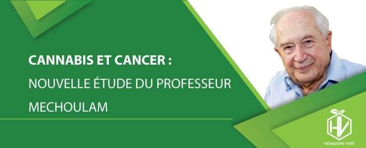 Cannabis et cancer : nouvelle étude du professeur Mechoulam