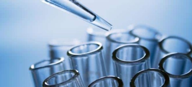 Nouvel essai clinique sur le CBD et les troubles du mouvement
