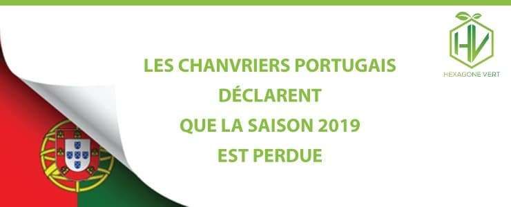 Les chanvriers portugais déclarent que la saison 2019 est perdue
