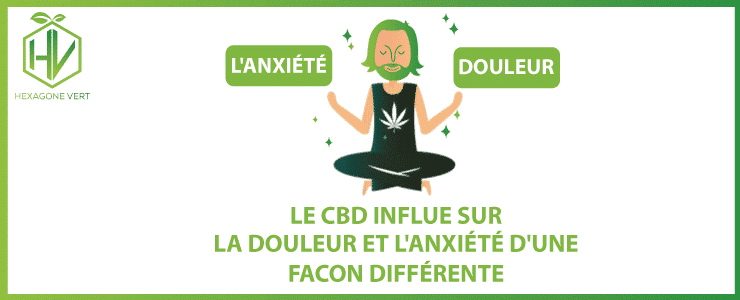 Le CBD influe sur la douleur et l'anxiété d'une facon différente