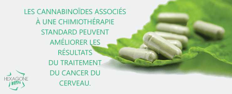 Les cannabinoïdes associés à une chimiothérapie standard peuvent améliorer les résultats du traitement du cancer du cerveau