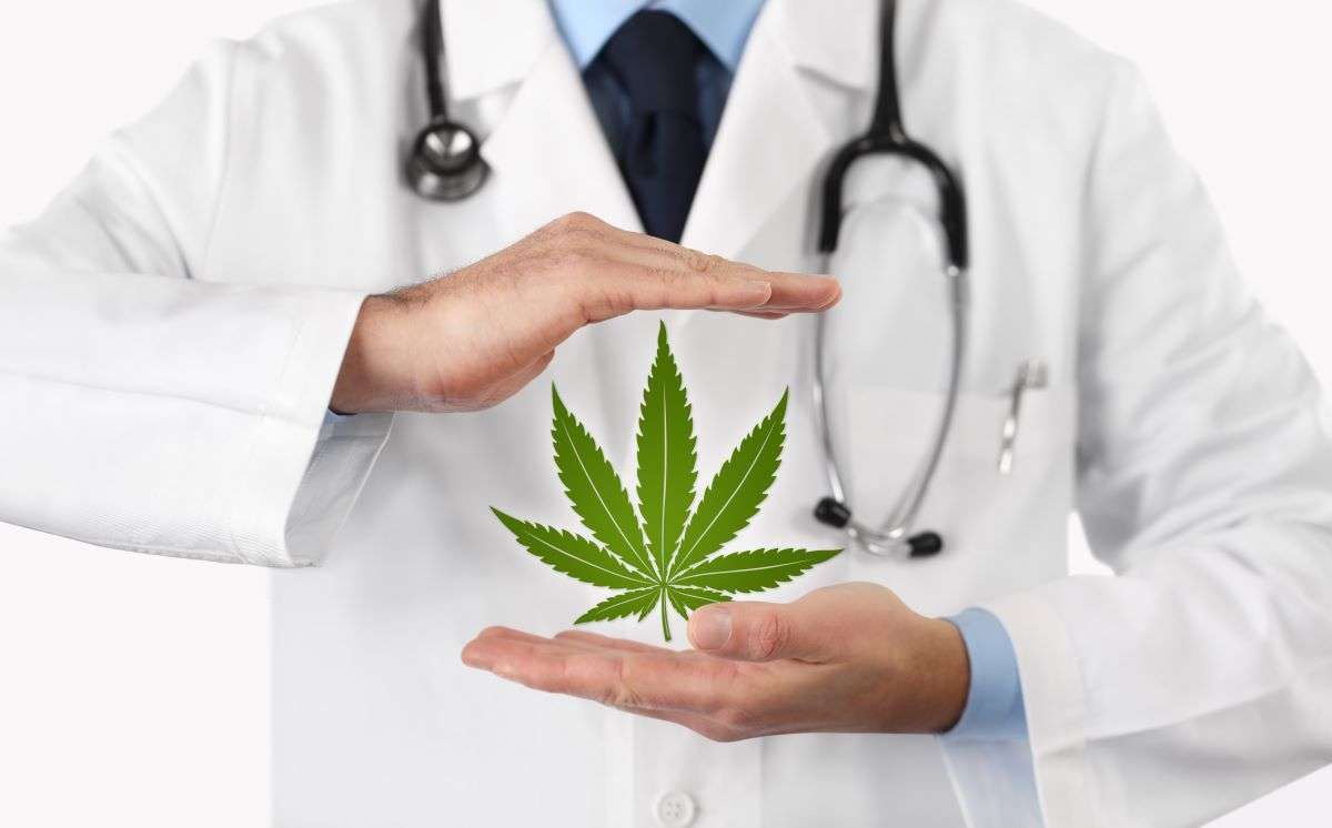 cannabis douleur