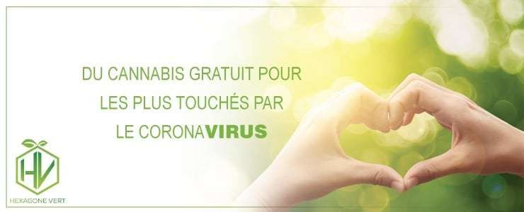 cannabis CBD coronavirus