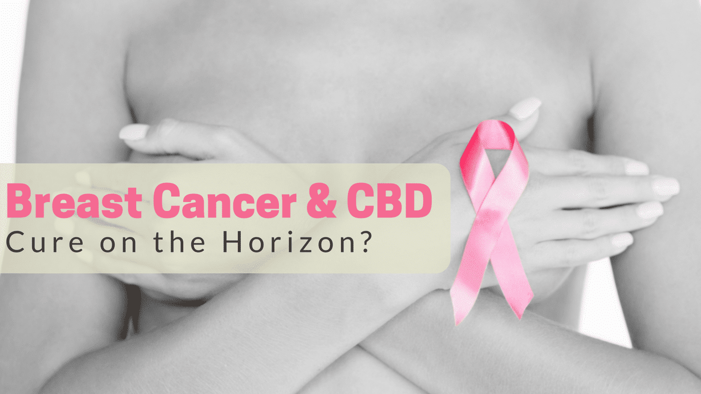 Le CBD peut être efficace dans plusieurs types de cancer du sein