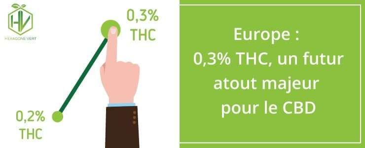 Europe : 0,3% de THC un futur atout majeur pour le CBD