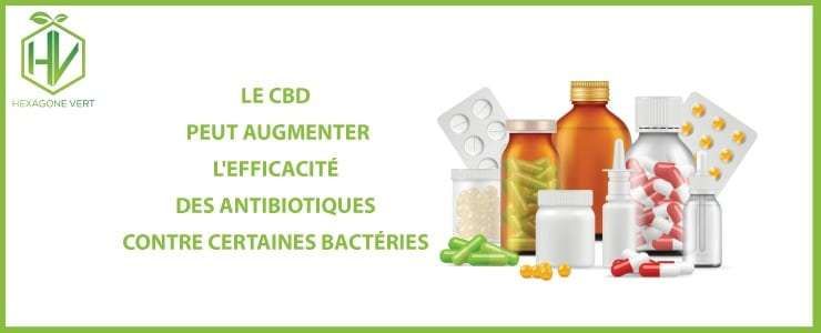 cbd antibiotiques