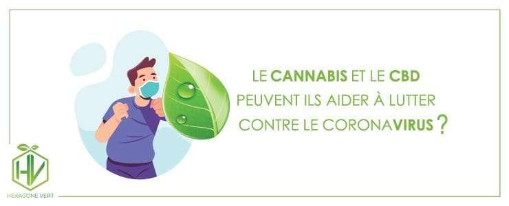 cannabis coronavirus