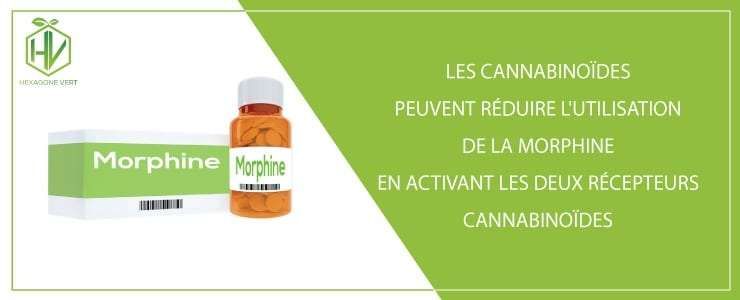 Les cannabinoïdes peuvent réduire l'utilisation de la morphine
