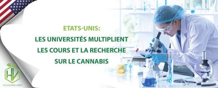 universite recherche cannabis