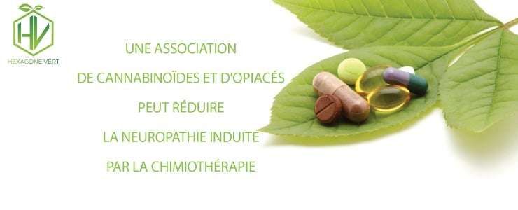 cannabinoïdes et chimiothérapie